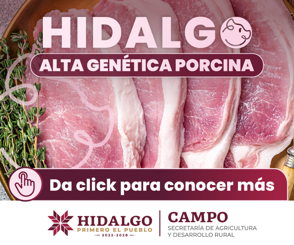 ADS_300x250px Porcinocultura