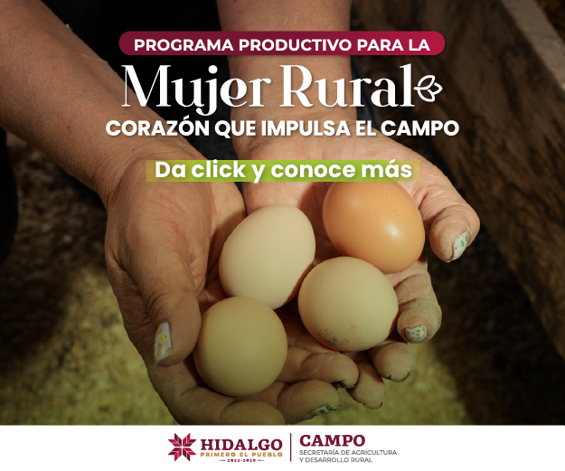 FERIA SAN FRANCISCO, PACHUCA 2025 ads_300px250px