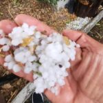 Granizadas y lluvias dan respiro a Hidalgo en plena temporada de incendios forestales