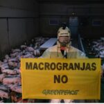 Cenotes envenenados en Península